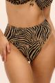 Freya Swim - Tortoli Bay Bikini Full brief Freya Swim - Tortoli Bay Bikini Full brief