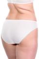 PrimaDonna Lingerie - Orlando Brief PrimaDonna Lingerie - Orlando Brief