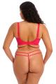 Elomi - Sachi Thong