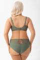 Gorsenia - Full brief - Gorsenia 65