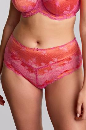 Panache Lingerie - Clara High-waisted brief
