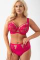 Gorsenia - Full brief - Gorsenia 86