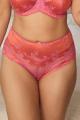 Panache Lingerie - Clara High-waisted brief