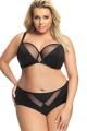 Gorsenia - Full brief - Gorsenia K566