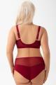 Gorsenia - Full brief - Gorsenia 66