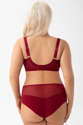 Gorsenia - Full brief - Gorsenia 66