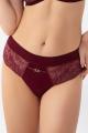 Gorsenia - Full brief - Gorsenia 69