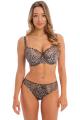 Fantasie Lingerie - Antonia Bra G-K cup