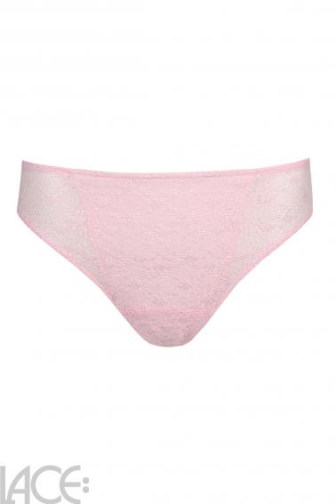 PrimaDonna Twist - Epirus Brief