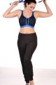 PrimaDonna Sport - The Mesh Sports bra underwired E-G cup