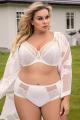 Gorsenia - Full brief - Gorsenia 45