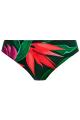 Fantasie Swim - Pichola Bikini Classic brief