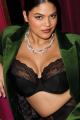 Elomi - Lucie Plunge bra I-M cup Elomi - Lucie Plunge bra I-M cup