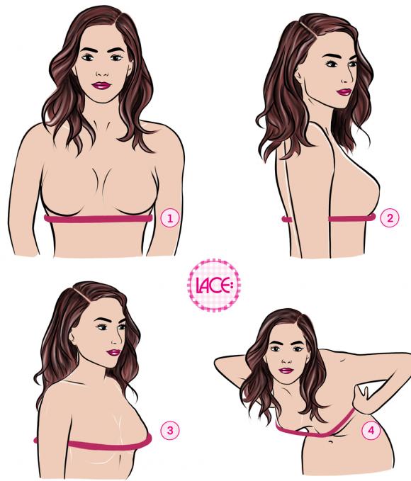 Bra Cup Sizes Explored: From Myths to Must-Knows - HauteFlair